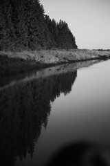 reflection of a tree in the water