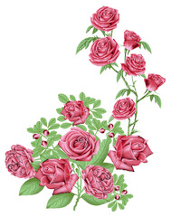 Brushstroke flower and Colorfull Flowers watercolor Flowers Textile Design illustration