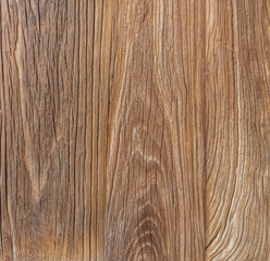 Naklejka premium Woodgrain of an elm panel used in the construction
