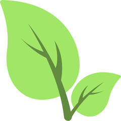 Leaf Vector Icon
