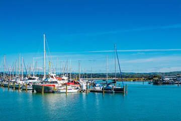 Fototapeta na wymiar Sailing boats lined up at city marina in Napier, New Zealand. Selective focus