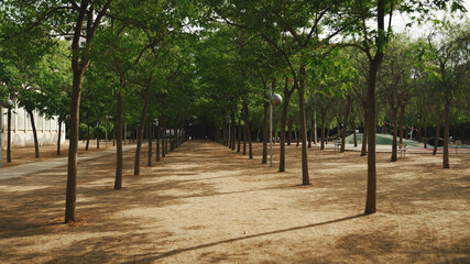 Landscape. City square in Barcelona