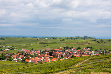 Fototapeta na wymiar Blick auf den Weinort Birkweiler, eingebettet zwischen Weinfeldern