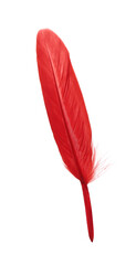 Fluffy beautiful red feather isolated on white