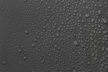 Many water drops on dark grey background