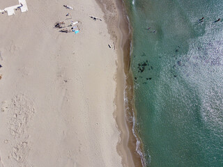Top down picture of Alberese's beach during a sunny summer day. Split view of the beach and the sea-waves in Alberese, Maremma National Park in the beautiful Tuscany territory.
