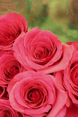 bouquet of red roses