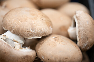 Portobello mushroom, portabella or portobella