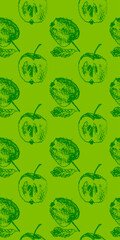 Green apple background. Vector apples seamless pattern with fruit hand drawn pencil illustration for vegan banner, juice, baby food packaging, jam label design. Color fruits backdrop. Cider badge.