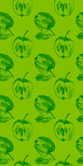 Green apple background. Vector apples seamless pattern with fruit hand drawn pencil illustration for vegan banner, juice, baby food packaging, jam label design. Color fruits backdrop. Cider badge.