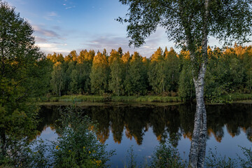autumn trees reflected in water