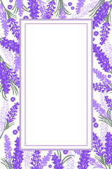 Vintage lavender text frame. Hand drawn illustration of lavender flowers garden, for text and other purposes.