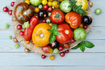 Obraz na płótnie Canvas Different varieties kind of red, yellow, green and black tomato mix on wooden table. Fresh assorted colorful summer tomatoes background, close up. Food photography