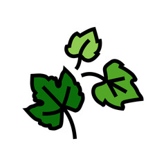 leaf grape green color icon vector. leaf grape green sign. isolated symbol illustration