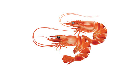 Red boiled shrimp or tiger prawns isolated on white background as a package design element. vector