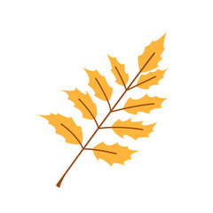 Naklejka na ściany i meble Vector yellow leaf. Cute autumn leaf. Branch with gold leaves. Fall.