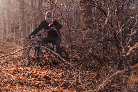 Man riding on bike in forest