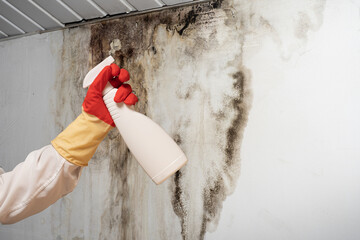 Man found mold on wall , in your residential building after renovation