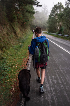 Woman walking with dog in nature