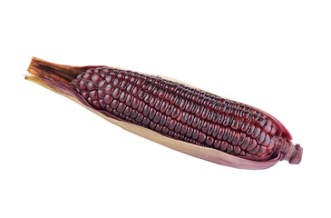 Corn isolated on transparent