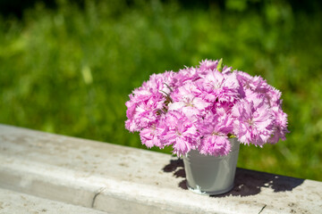 A bouquet of delicate pink carnations in a white bucket on a blurred background of nature. Place for an inscription. Selective focus.