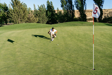 Professional golfer playing golf on course against trees
