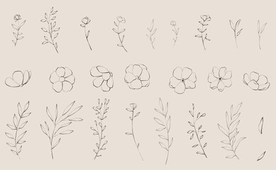 Set of delicate sketches floral and flowers, branch and leaves. Elegant logo template. Vector illustration for labels, branding business identity, wedding invitation	
