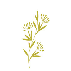 Meadow grass. PNG vector image for use in packaging, websites and web pages, cards and invitations, fabrics and prints, covers and flyers.