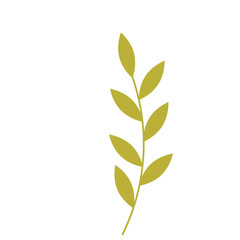 Branch with  leaves. PNG vector image for use in packaging, websites and web pages, cards and invitations, fabrics and prints, covers and flyers.