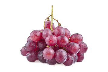 Bunch of red grapes with water drops  isolated on white background.