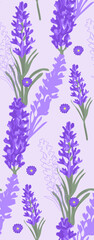 Lavender flowers seamless pattern on purple background. Vintage floral texture. Vector illustration.