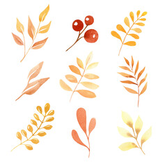 Watercolor orange autumn leaves set for fall designs. Yellow leaves and branches illustration isolated