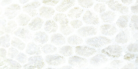 Naklejka premium white paper texture