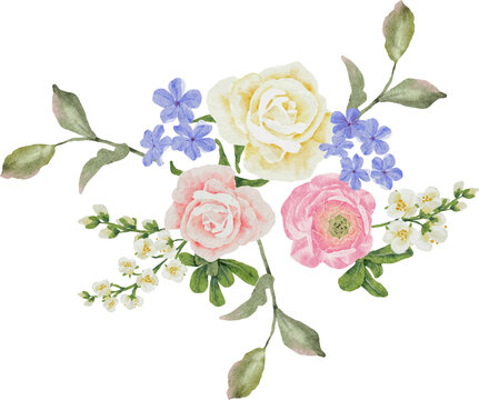 watercolor beautiful white rose and blue Plumbago auriculata plant flower bouquet clipart