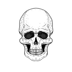 Sketchy style drawing of human skull, human head, isolated on white. Tattoo design element. Vector illustration. Religion, death, occultism, calavera symbol, alchemy magic..