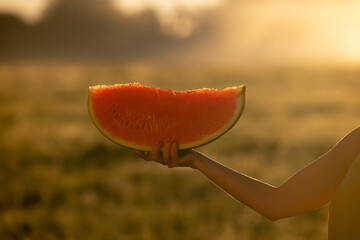 watermelon on hand in the garden,with green bokeh background