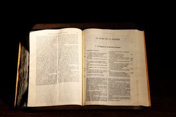Saint Pierre & Saint Paul de Troyes cathedral. Bible...
