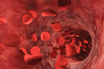 Red blood cells flowing in a blood vessel. 3D illustration of human circulatory system