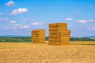 Stacked bales of straw on a harvested field in Rheinhessen/Germany on a sunny autumn day