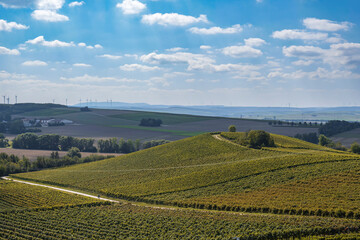View over the vineyards near Rommersheim/Germany in Rheinhessen on a sunny day in early autumn