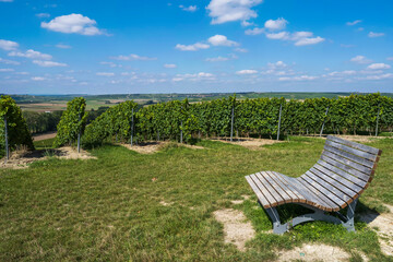 A cozy bench in the midst of the vineyards of Rheinhessen Germany