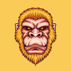 head monkey illustration