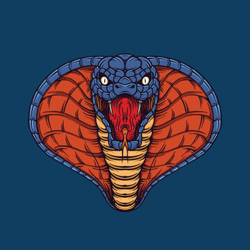 head snake cobra illustration