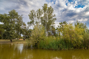 duck pond in a public park in Aix en Provence