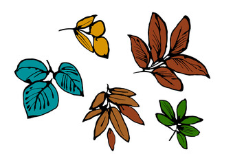 Painting leaves, leaf isolated on white background. Hand painted illustration tropical exotic leaf Hawaii style.