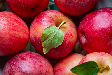 freshly picked red apples with green leaves