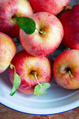 freshly picked red apples with green leaves