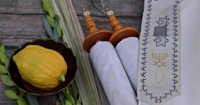 The traditional Jewish holiday decorations for celebration of Sukkot are typified by species etrog, lulav, hadas and arava