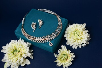 Indian Traditional jewelry 