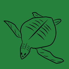 Turtle sketch In green art board